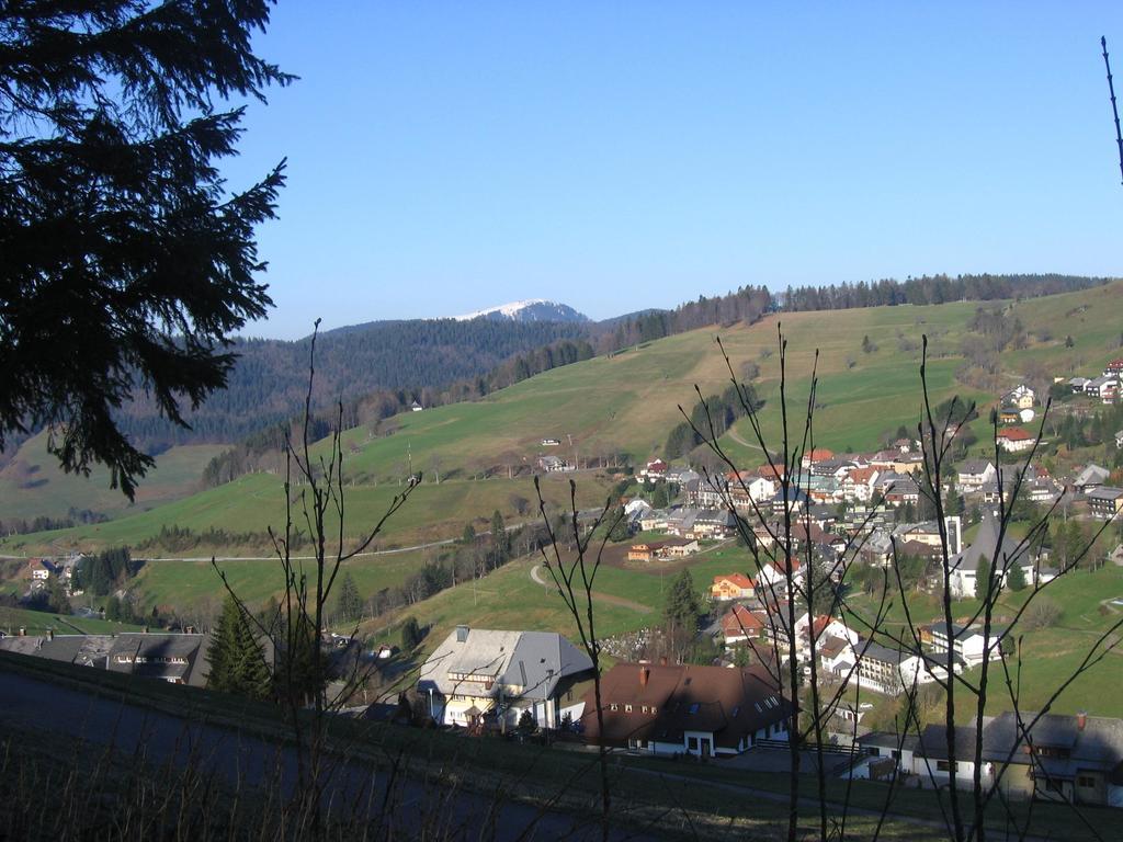 Haus Keller Ferienwohnungen Todtnauberg Luaran gambar