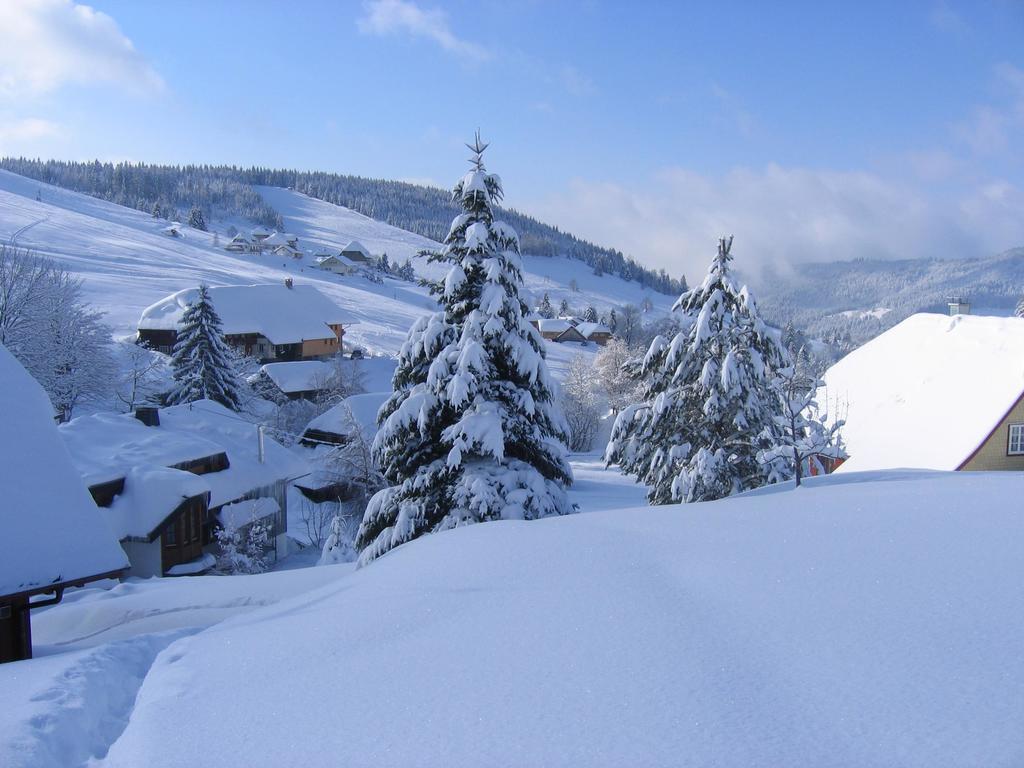 Haus Keller Ferienwohnungen Todtnauberg Luaran gambar